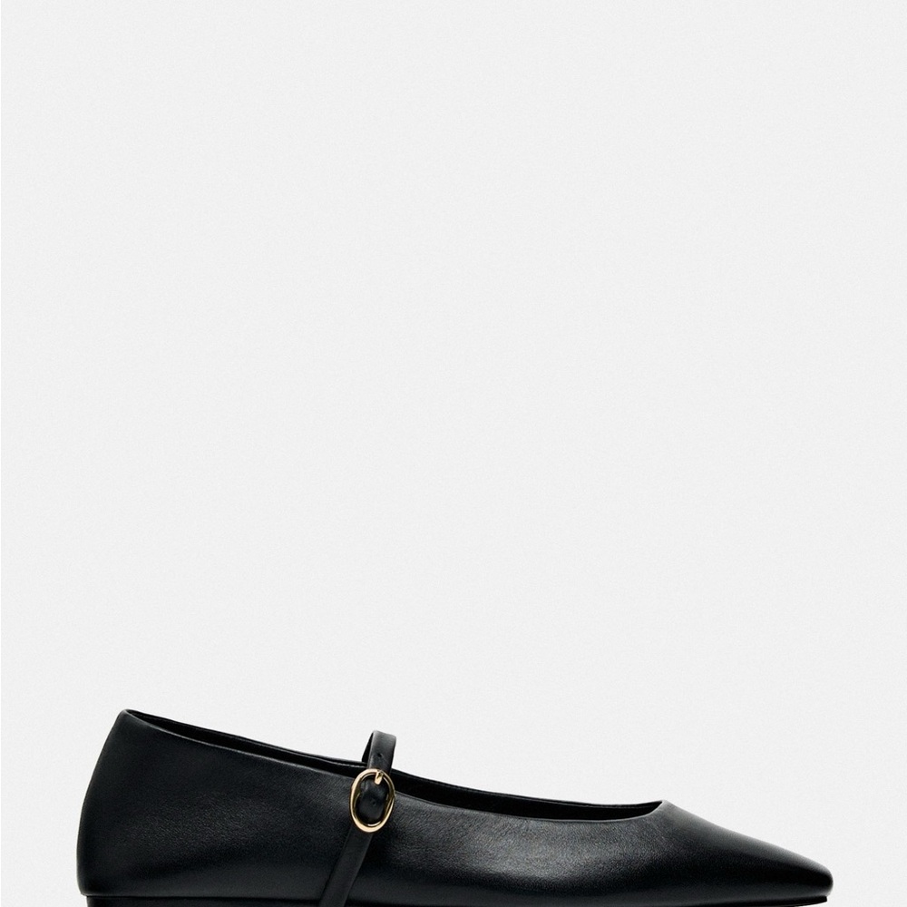 Zara Leather Ballet Mary Jane Flats